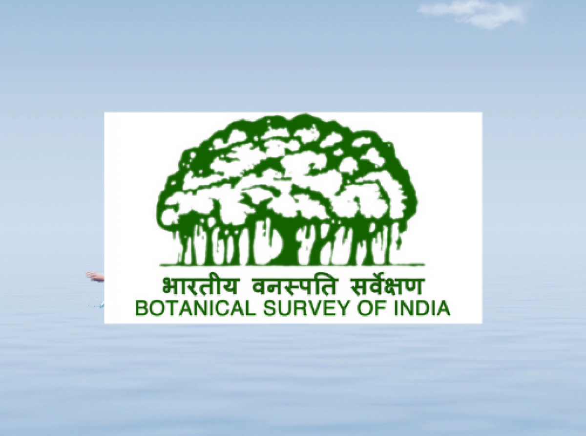 The Botanical Survey of India has digitized its entire textile collection
