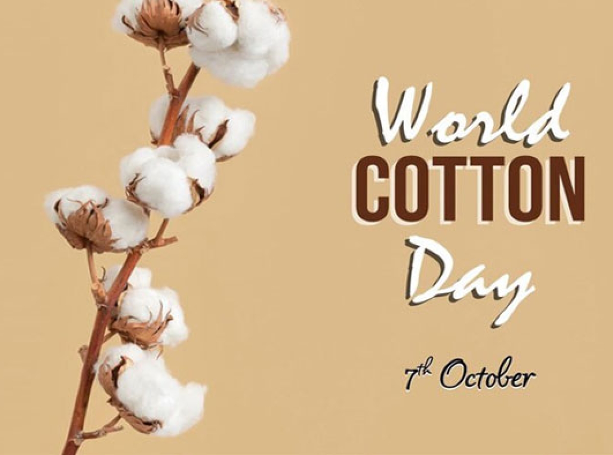 World Cotton Day is observed by the Indian textile sector