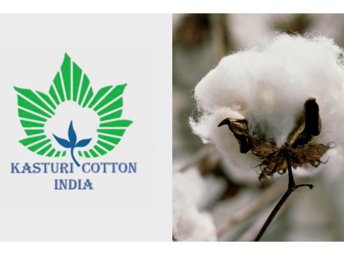 One year of a Branding exercise for 'Kasturi Cotton India': Where it is heading to!