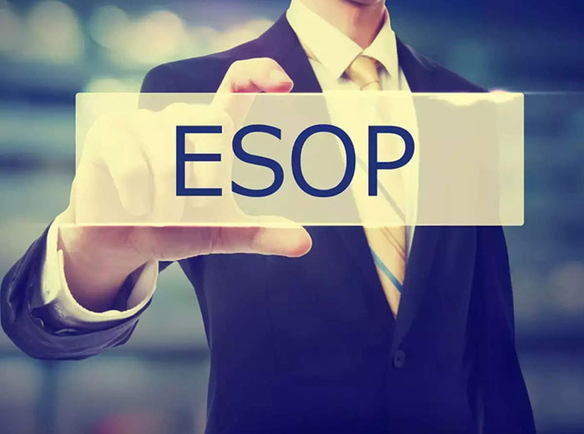 Meesho plans annual ESOP program