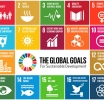 Better Cotton Initiative (BCI): SDGs are central to the 2030 Agenda for Sustainable Development