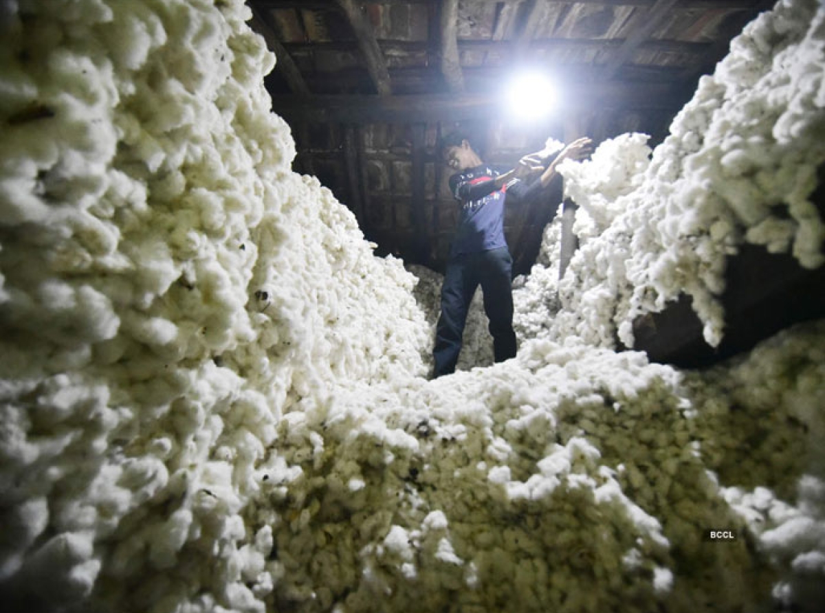 Dismal cotton arrival, higher prices and inferior quality jitters textile industry – Removal of import duty on cotton is the need of the hour – CITI