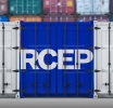 The Regional Comprehensive Economic Partnership (RCEP) TO HELP ATTRACT MORE INVESTMENTS IN TEXTILES AND APPARELS (T&A)