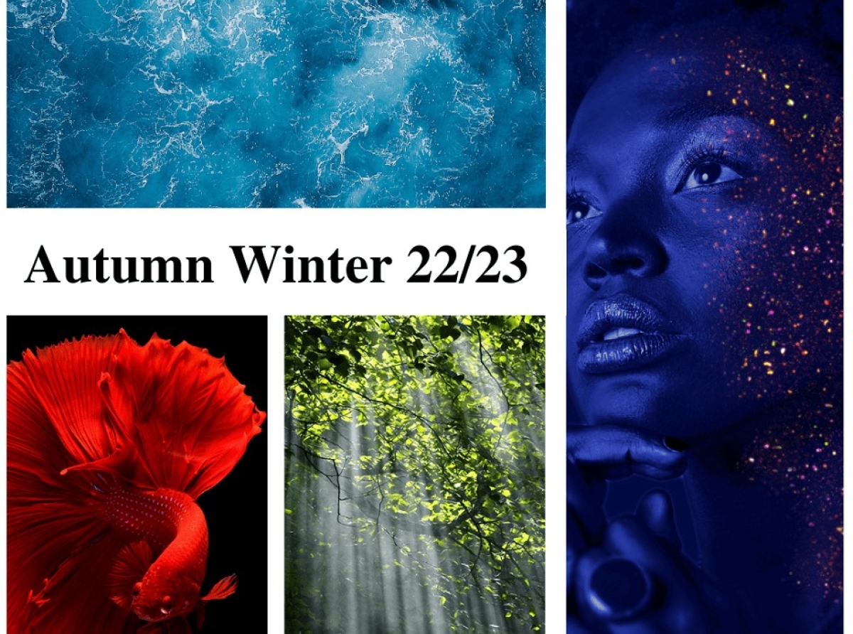 Discover the 5 colours to follow this autumn winter 2023/24