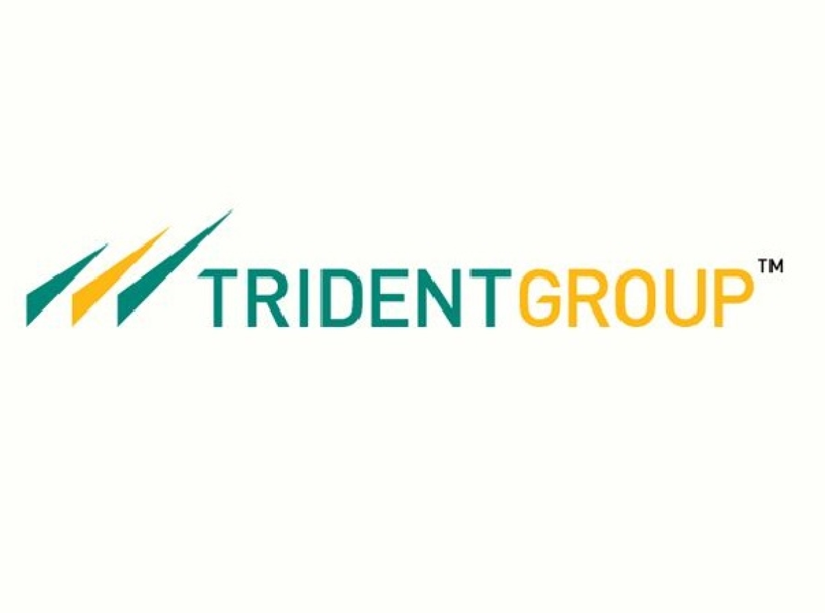 trident company logo in white background Stock Vector | Adobe Stock