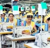 Record-breaking sourcing volumes signal growth for Indian apparel industry